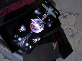 Asus Rog Phone 5