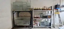 11 aquarium + 2 rak edisi pensiun