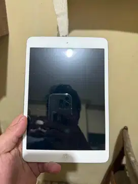 iPad Mini 2 16GB Silver Wifi + Celluler Matot