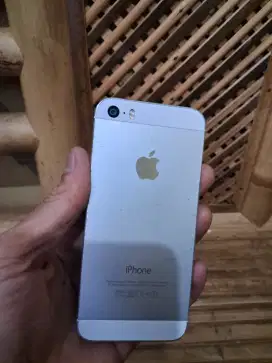 iphone 5s TT/BT
