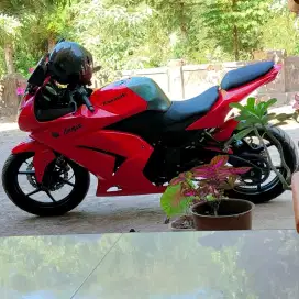 KAWASAKI NINJA 250 R /NINBU