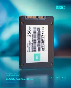 SSD HEATZ 256GB SATA3 Garansi Resmi 4 Tahun. Heatz By Asthel Group