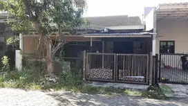 Nanas Pocan Hitung Tanah