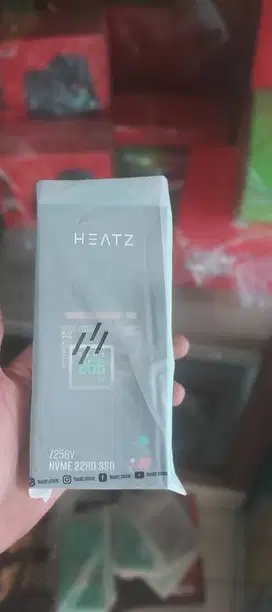 SSD 256GB NVME 2280 Heatz  Garansi Resmi 4 tahun. Produk Berkualitas