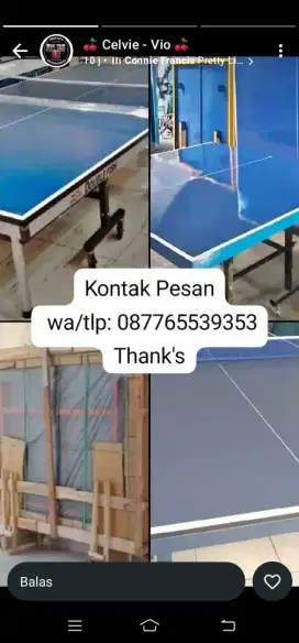Tenis meja baru SNI wa