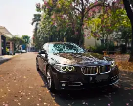 BMW 520i 2014 Bensin