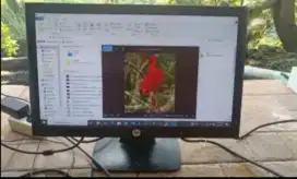 Monitor LED merk hp 19 inch
Model LE1902x