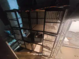 Borongan kandang kucing, 3 lantai dan 2 lantai
