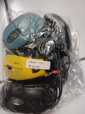 Mouse Warna Random
