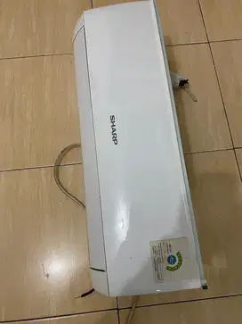 Ac sharp 1/2 pk r32