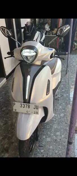 Grand filano 2023