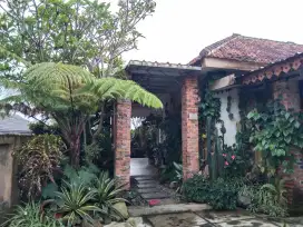 Dijual cepat rumah fully furnished