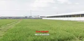 JUAL Tanah Baguss LD 47 mtr, Kawasan Industri Caruban MADIUN