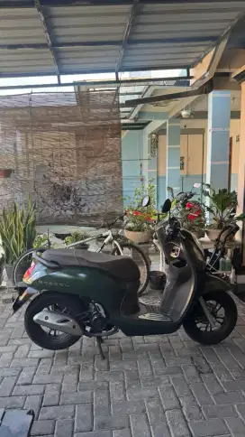 Scoopy prestige 2023 hijau
