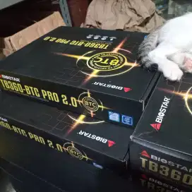Motherbord. Ddr4. Biostar. For Gen 9