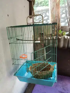 Sangkar Burung Besi Sedang