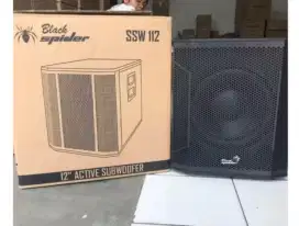Subwoofer aktif 12inc Black Spider SSW 112