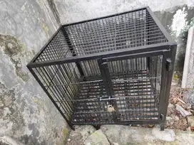 Kandang Anak kucing atau anak anjing