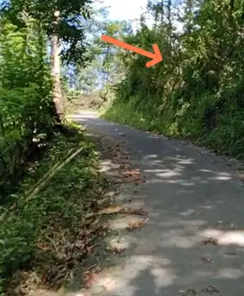 Kebun Jati 1 Hct Pinggir Jalan Aspal Dekat Malino