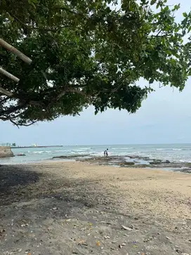 BU Tanah Pinggir Pantai Anyer SHM Siap Bangun Resort Beachfront Carita