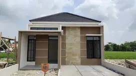 Rumah Mewah Dengan Harga Terjangkau