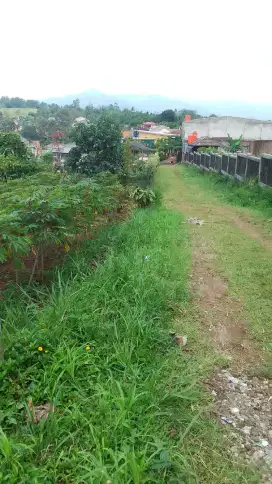 Jual tanah 1200mtr bisa di kavling per 300mtr