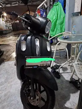 Fazio 2024 Tipe Tertinggi