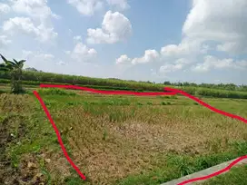 Dijual Tanah Sawah Kavling