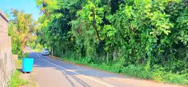 Tanah Zona Pariwisata Jl Pantai Purnama Gianyar Bali