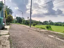 Di jual Tanah siap bangun Lokasi Kalisegoro UNNES  Gunungpati Unnes