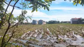 Tanah Kavling Utara Hotel Lorin Solo