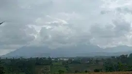 jual tanah view gunung luas kecil suhu sejuk di tabanan bali
