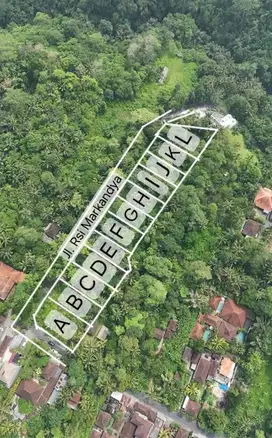 121834L TANAH KAVLING Premium UBUD CENTRAL di Payogan Kedewatan
