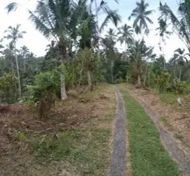 Tanah kebun dekat Talasi Estate dan Alassari Plantation Bali