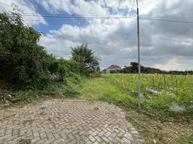Dijual Tanah Dekat UMM Malang Cocok untuk Kos