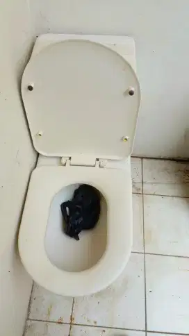 Kloset duduk merk toto