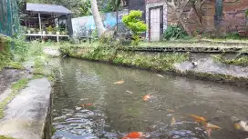 Rumah murah nuansa alam dekat Umbul Sidomukti Bandungan
