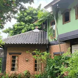 Rumah Unik Green House 2 Lantai Sawah Baru Sektor 9 7413