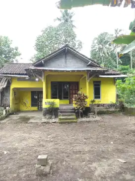 Disewakan Rumah Di DESA Nyaman, Halaman Luas  ,Truk bisa Masuk