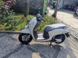 Honda Scoopy prestige 2024