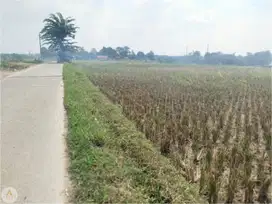 Tanah Sawah di Karawang