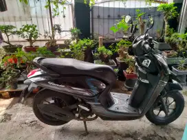 Honda Genio 2023