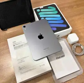 Ipad Mini Gen 7 256 GB(Wifi)