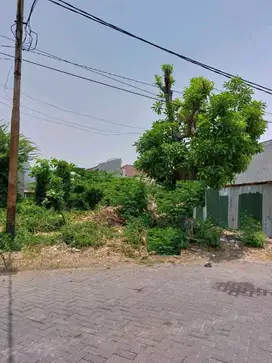 DIJUAL TANAH RAYA GADING PANTAI MULYOREJO SURABAYA RON.A2001