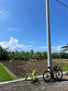 DIJUAL TANAH 5 ARE DESA TIBUBIYU TABANAN BALI DEKAT PANTAI !!!