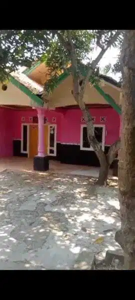 JUAL BUTUH CEPAT 321m RUMAH BESAR KAMPUNG BABAKAN ASEM BANDARA DADAP