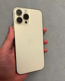 Iphone 13 Promax 256gb Gold Resmi Beacukai