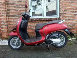 Scoopy Keyless 2024 Stylish Mulus Pajak on 2026 Panjang