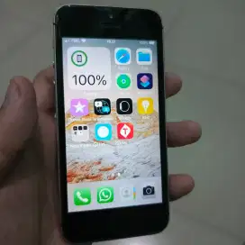 IPHONE SE 1st Generation