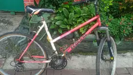 Sepeda federal uk. 26 jn 6 speed istimewa